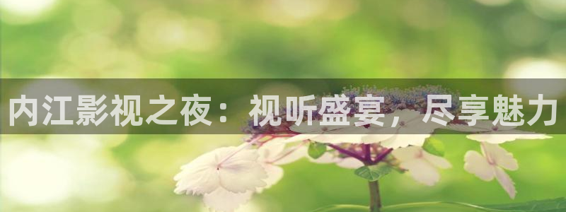 可可视频在线观看：内江影视之夜：视听盛宴，尽享魅力