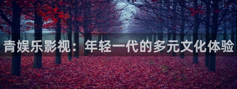 可可影视手机app：青娱乐影视：年轻一代的多元文化体验