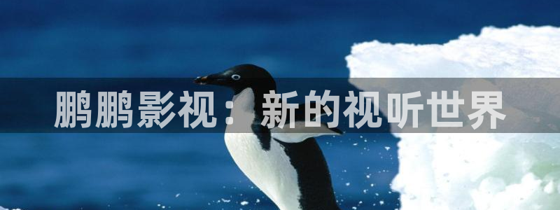 可可影视 ios：鹏鹏影视：新的视听世界