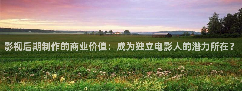 可可影视怎么免费看：影视后期制作的商业价值：成为独立电影人的潜力所在？