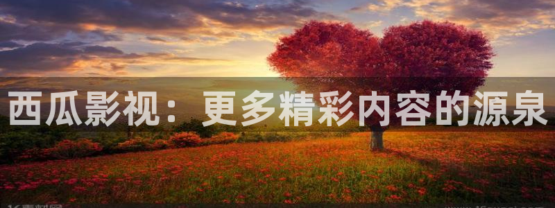 可可视频下载：西瓜影视：更多精彩内容的源泉