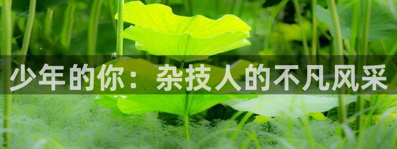 可可影视大全下载安装：少年的你：杂技人的不凡风采