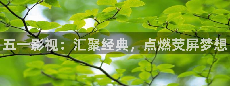 可可影视变身：五一影视：汇聚经典，点燃荧屏梦想