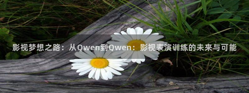 可可影视kkeys官网下载：影视梦想之路：从Qwen到Qwen：影视表演训练的未来与可能