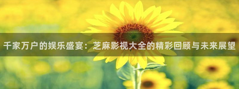 可可影视追剧：千家万户的娱乐盛宴：芝麻影视大全的精彩回顾与未来展望