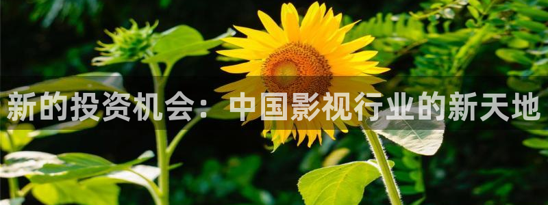 可可影视怎么下载电视剧：新的投资机会：中国影视行业的新天地