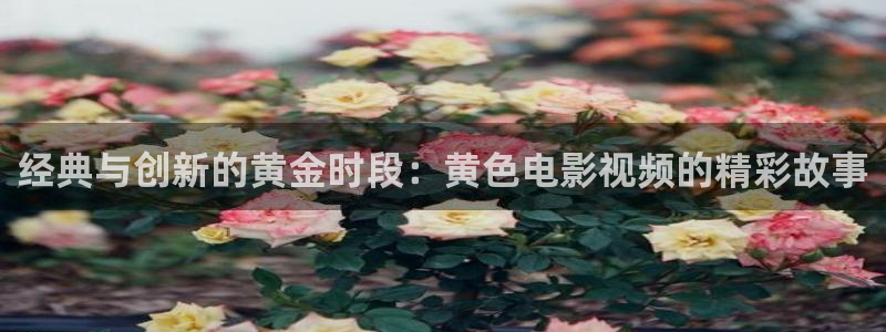 可可影视老版：经典与创新的黄金时段：黄色电影视频的精彩故事